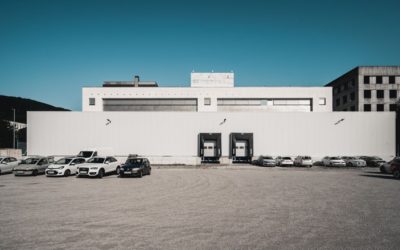 Industrial hall for storage and dispatch of goods